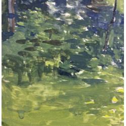 Витинг Н. И. Подмосковье