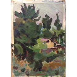 Иргашев М.Х. Домик в зелени