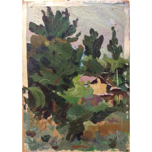 Иргашев М.Х. Домик в зелени