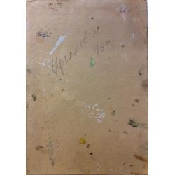 Иргашев М.Х. Домик в зелени