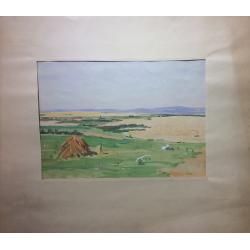 Красковский С.С Кубанские поля