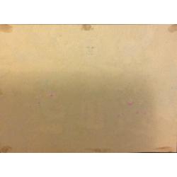 Расторгуев Е.А. Цветочница