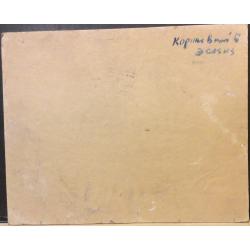 Коржевский Б.Г. Пионеры