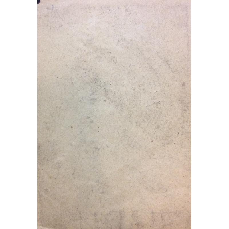 Попов Б. Н. Портрет женщины в очках