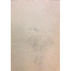 Попов Б. Н. Портрет женщины