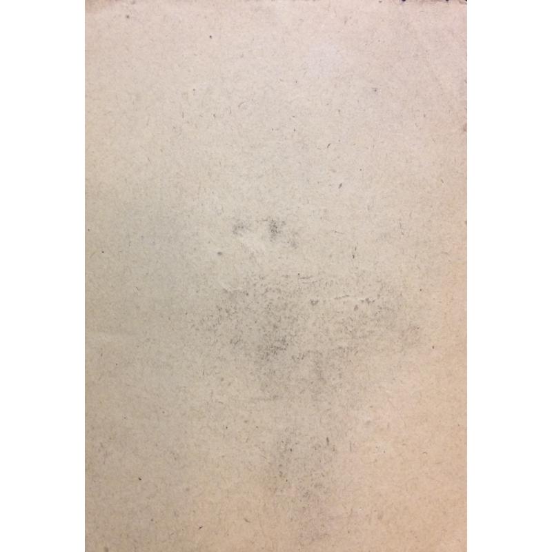 Попов Б. Н. Портрет женщины