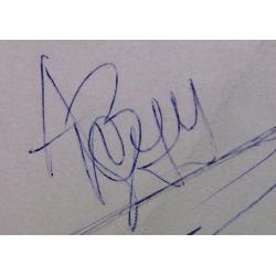 Зверев А.Т. Портрет. Импровизация