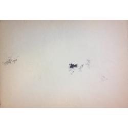 Барвенко В. П. Пейзаж