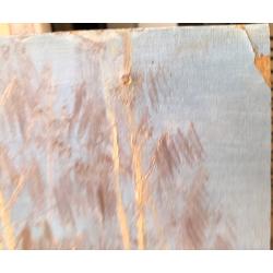 Скорубская Н.В. Тает лед