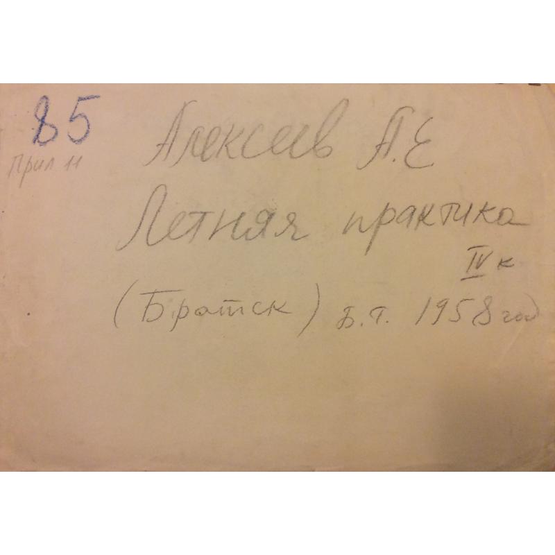 Алексеев А.Е. Братск