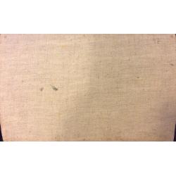 Ванециан А.В. Речной пейзаж