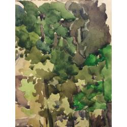 Пискарева А.Н. Около дома. Крым