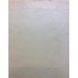 Пискарева А.Н. Около дома. Крым