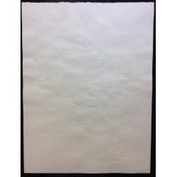 Витинг Н.И. Натюрморт с розовым цветком