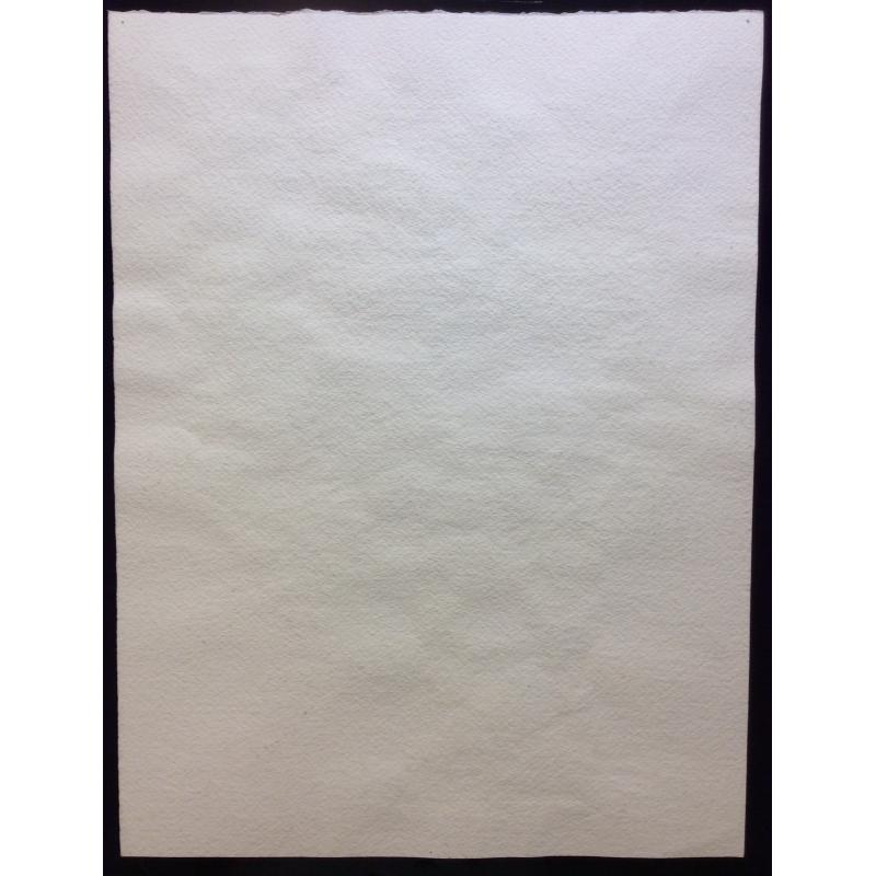 Витинг Н.И. Натюрморт с розовым цветком