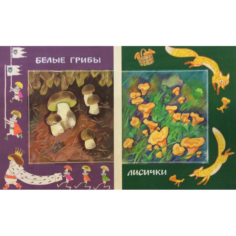 Аврутис Х.А. Иллюстрации к детской книге За что нас так зовут А.В. Васильевой, страницы 19 и 18