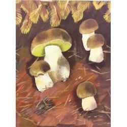 Аврутис Х.А. Иллюстрации к детской книге За что нас так зовут А.В. Васильевой, страницы 19 и 18