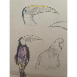 Гончаров А. Д. Птицы