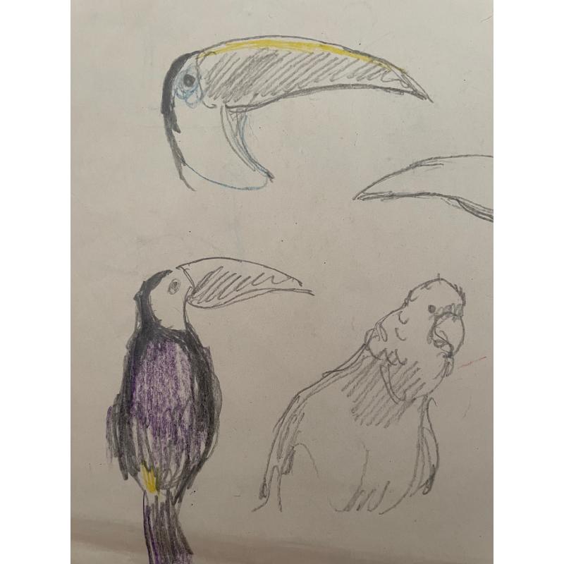 Гончаров А. Д. Птицы