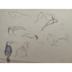 Гончаров А. Д. Птицы