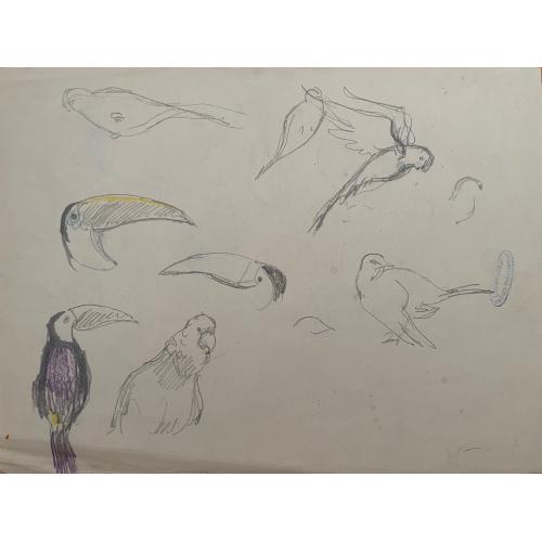 Гончаров А. Д. Птицы