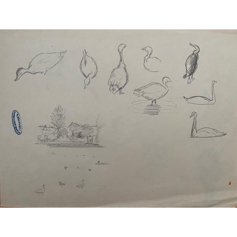 Гончаров А. Д. Птицы