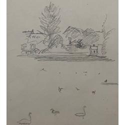 Гончаров А. Д. Птицы