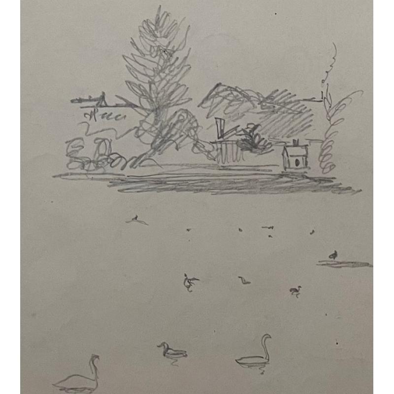 Гончаров А. Д. Птицы