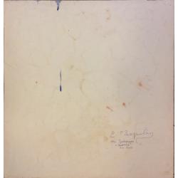 Зернова Е.С. Грейпфруты и тюльпаны