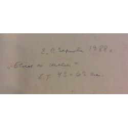 Зернова Е.С. Белое на синем