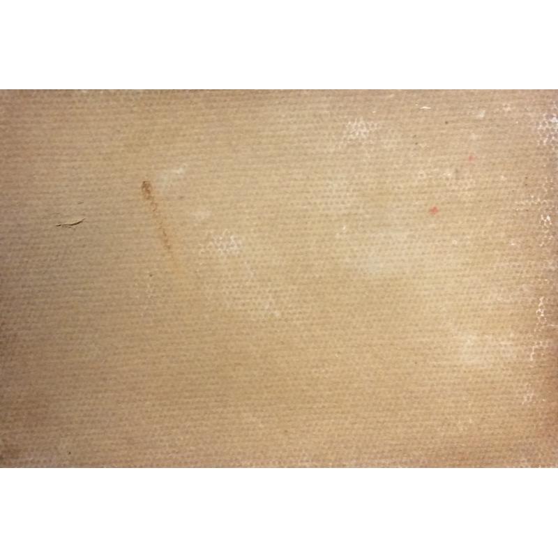 Кибардин Г. В. Домик на берегу озера