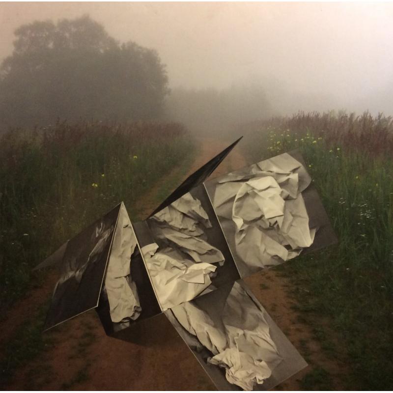 Григорьев А.Е. Без названия.