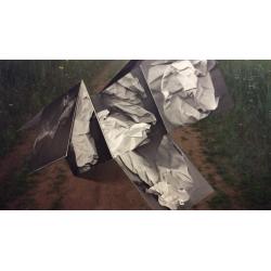 Григорьев А.Е. Без названия.