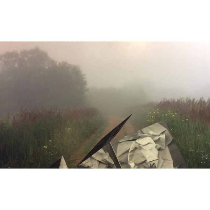 Григорьев А.Е. Без названия.