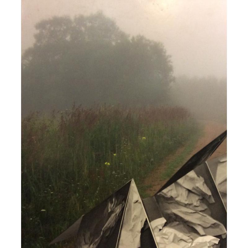 Григорьев А.Е. Без названия.