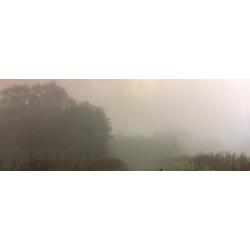 Григорьев А.Е. Без названия.