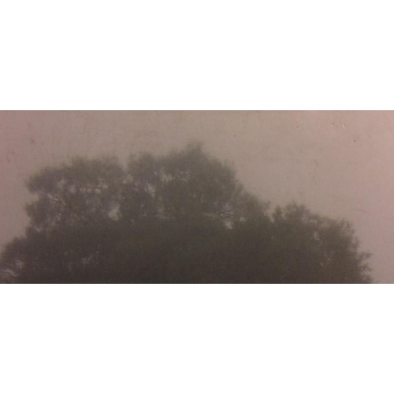 Григорьев А.Е. Без названия.