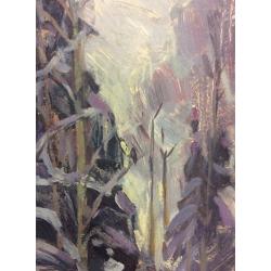 Тихомирова О.В. Зимка