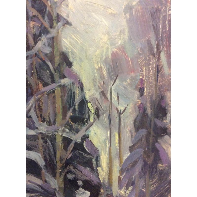 Тихомирова О.В. Зимка