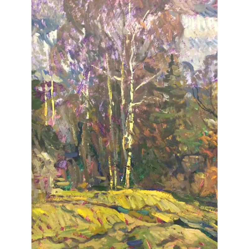 Шишин А. А. Прошло лето