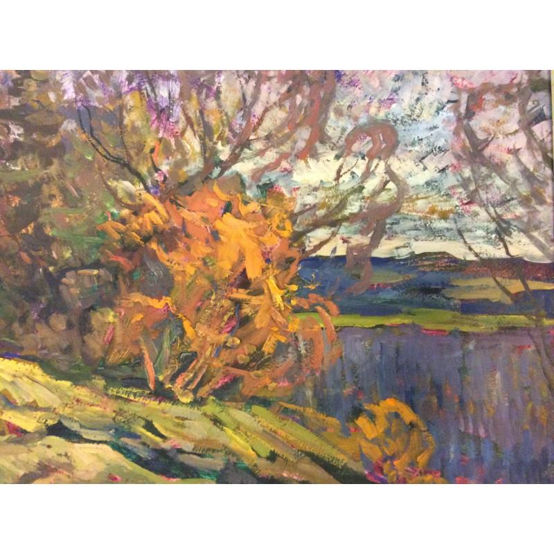 Шишин А. А. Прошло лето