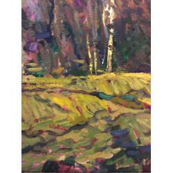 Шишин А. А. Прошло лето