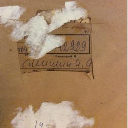 Шишин А. А. Прошло лето