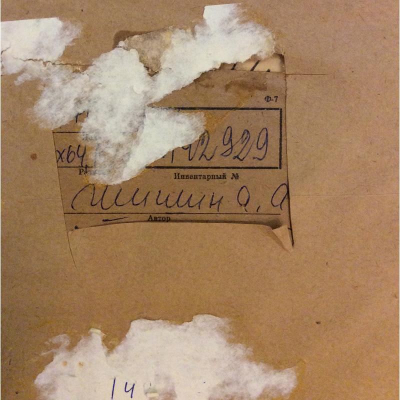 Шишин А. А. Прошло лето