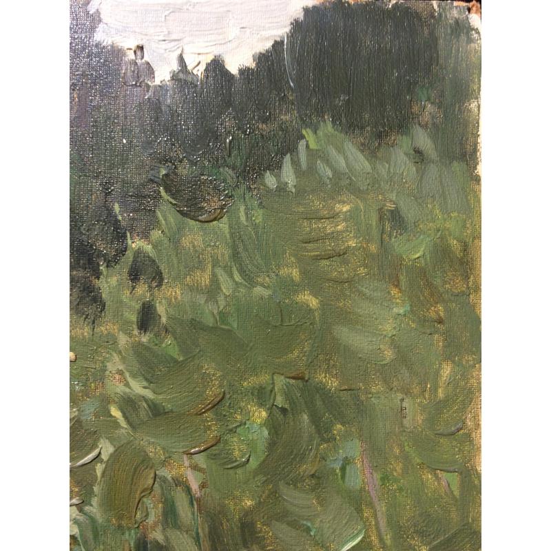 Маторин М. В. У берегов Истры