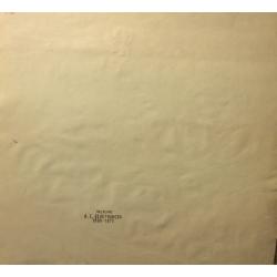 Ведерников А. С. Обнаженная и цветы