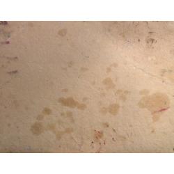 Безикович Б. Н. Натюрморт с фруктами