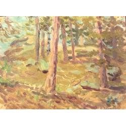 Зернова Е. С. Этюд в лесу. Боровое