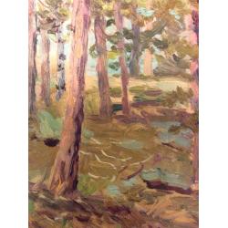 Зернова Е. С. Этюд в лесу. Боровое