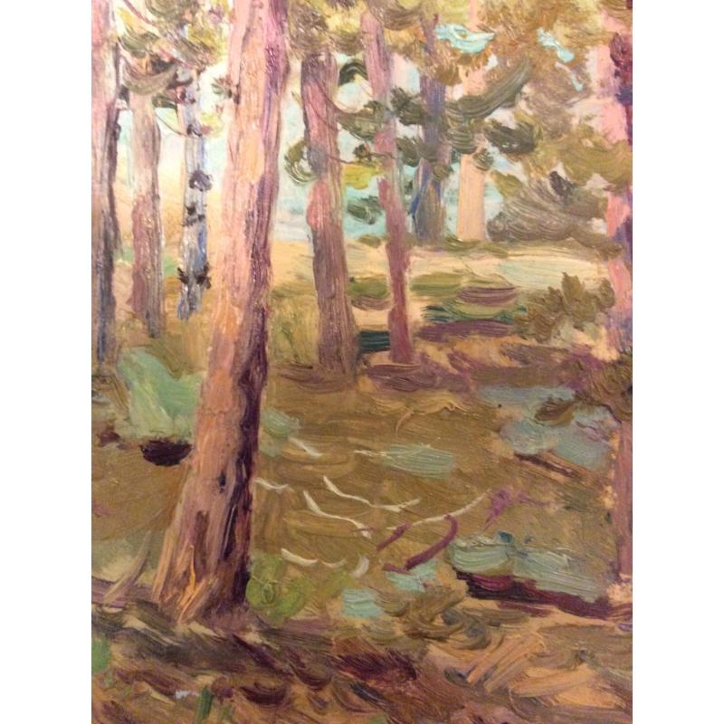 Зернова Е. С. Этюд в лесу. Боровое